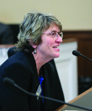 Rep. Lisa Callan